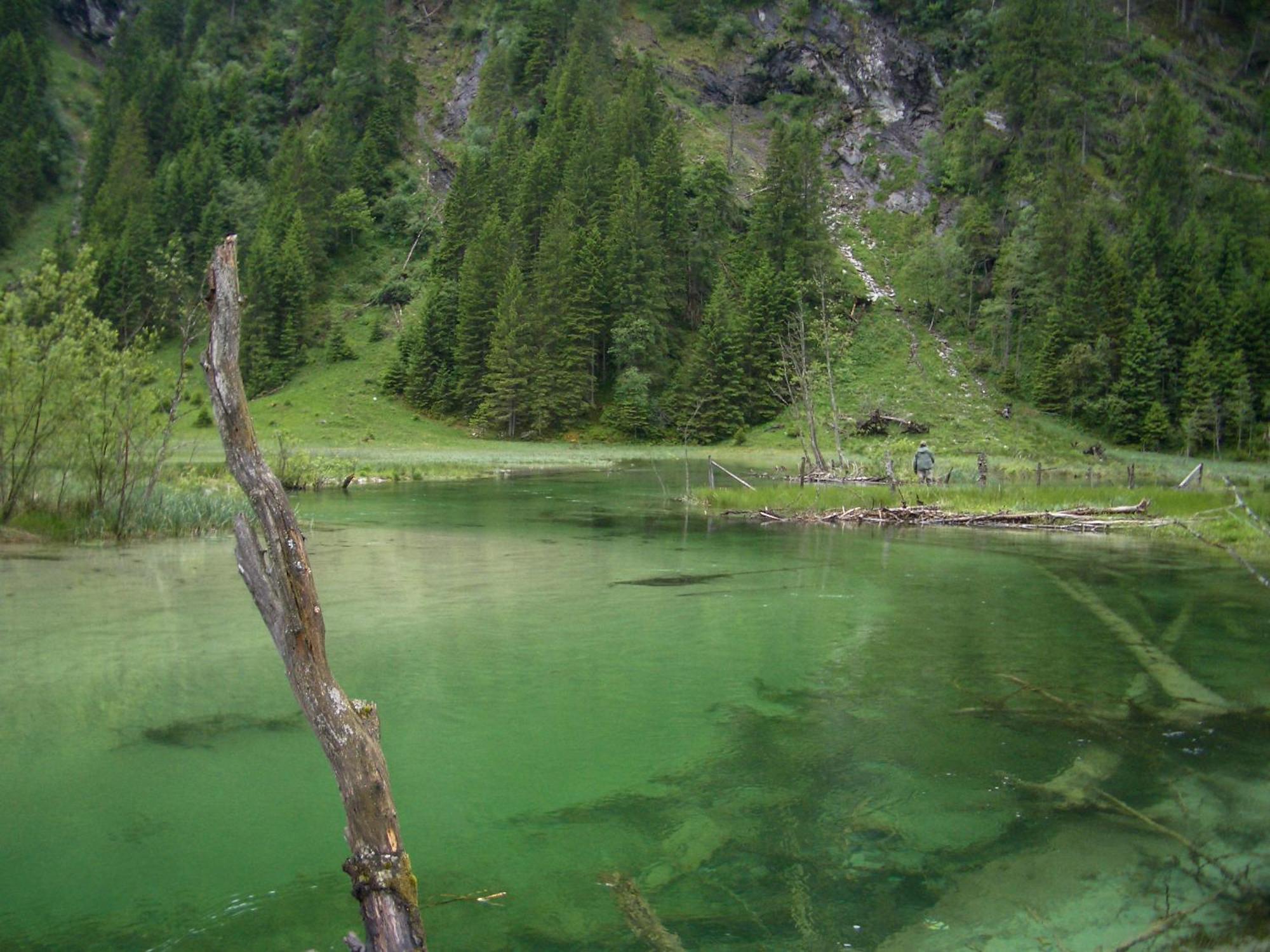 Landhotel Almroesl Im Grossarltal Hüttschlag Zewnętrze zdjęcie